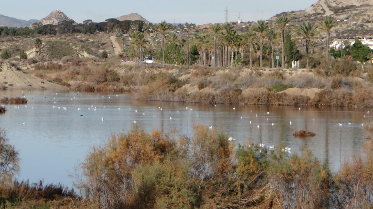 Vera Rental Torremar Natura المظهر الخارجي الصورة